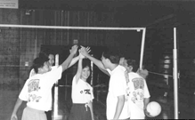 Photo 11 image (gif)