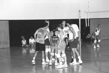 Photo 13 image (gif)
