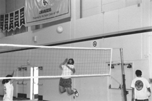 Photo 4 image (gif)