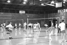Photo 7 image (gif)